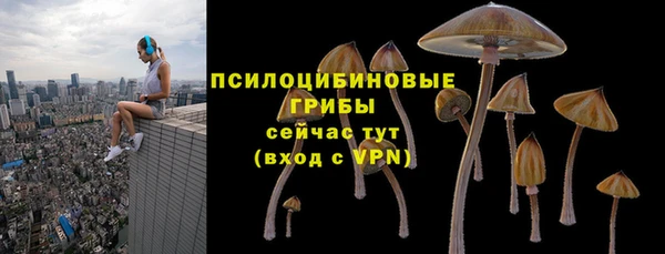 метадон Магас