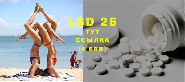 прущие грибы Новозыбков