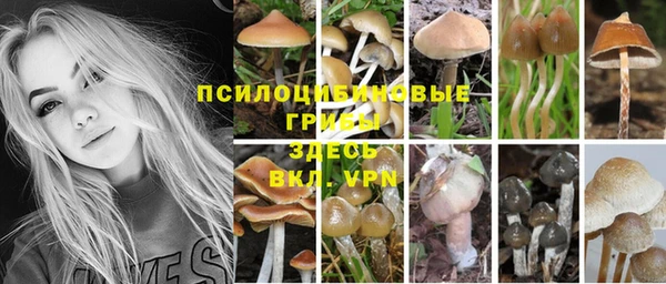 Альфа ПВП Магадан